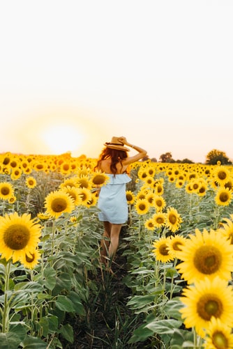Girl amongst sunflowers